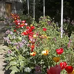 فندق Park توركو