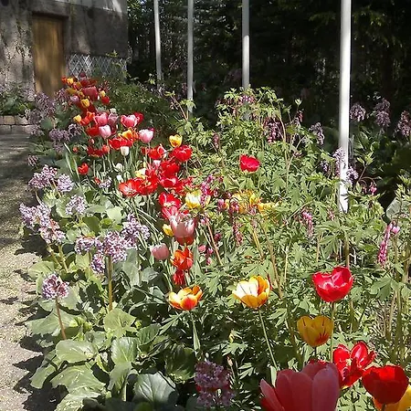 Szálloda Park Turku