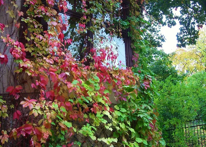 Park فندق توركو