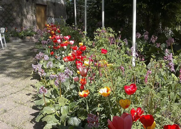 فندق Park توركو