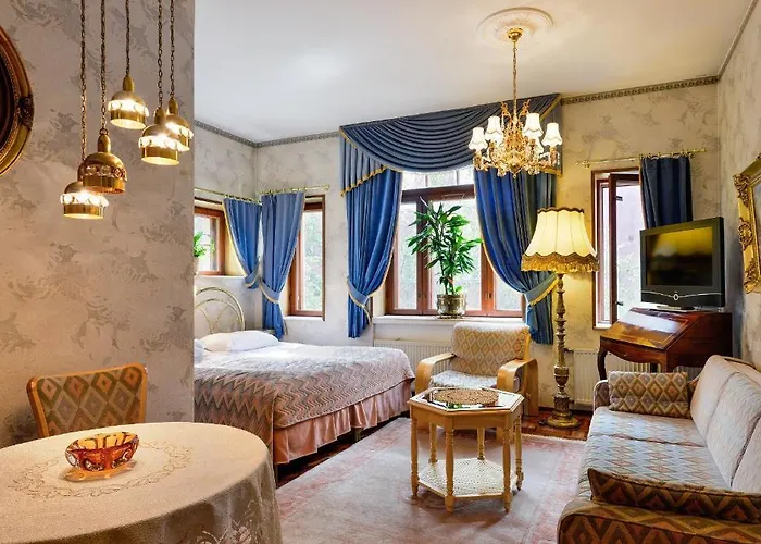 图尔库公园酒店 酒店